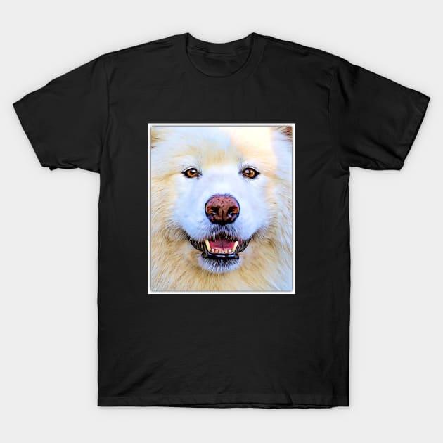 Beautiful Dog T-Shirt by cameradog